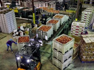 Sale Of Goods - On Consignment