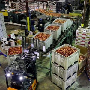 Sale Of Goods - On Consignment