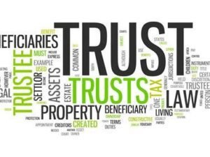 Shares In Trust - With Power Of Attorney