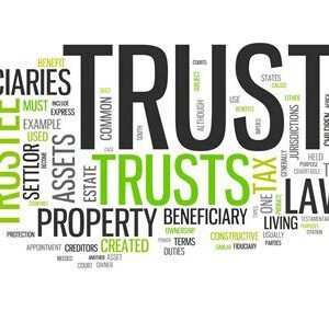 Shares In Trust - With Power Of Attorney
