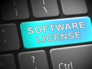 Software Licensing Agreement