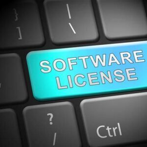 Software Licensing Agreement